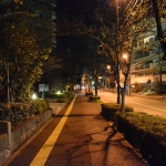 上品で有名な「浄水通り」を深夜に散歩