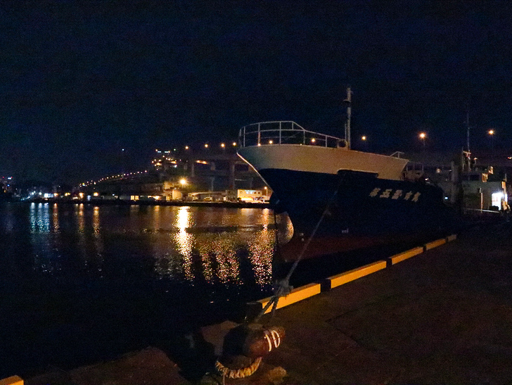 癒される異空間「深夜の須崎ふ頭」を散歩：大きな船