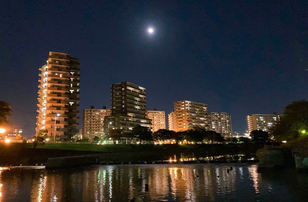 【静寂の冒険】福岡市内、夜のオススメ「散歩・ドライブスポット」10選